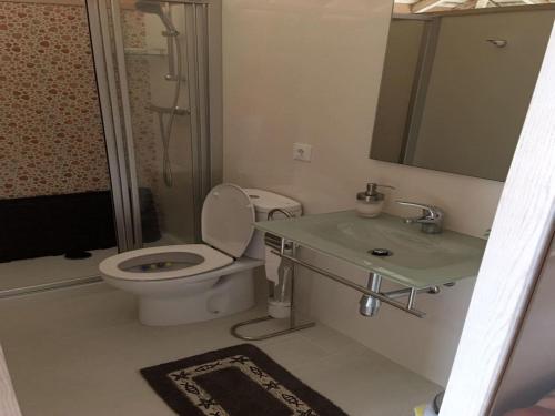 a bathroom with a toilet and a sink and a shower at House - 4 Bedrooms with Pool - 4093 in A Estrada