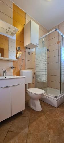 a bathroom with a toilet and a shower and a sink at Apartment Nikola in Jelsa