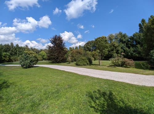 a walking path in a park with trees in the background at Dependance del Brenta in Fiesso dʼArtico