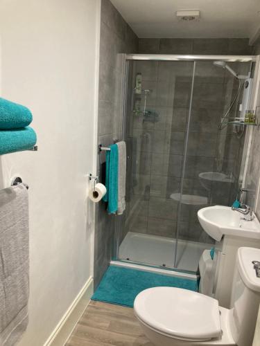a bathroom with a shower and a toilet and a sink at Beautiful holiday 1 bedroom apartment . in Plymouth