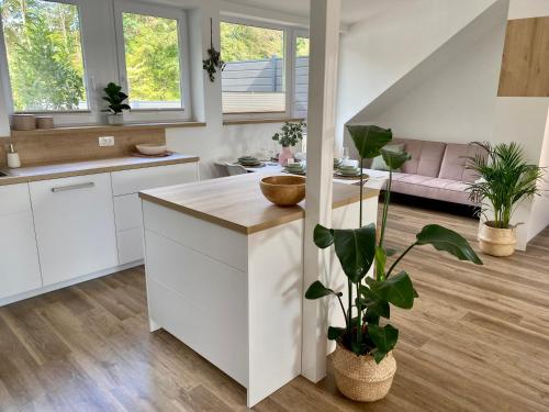 uma cozinha com armários brancos e um vaso de plantas em Sunny Oak Estate em Mengeš