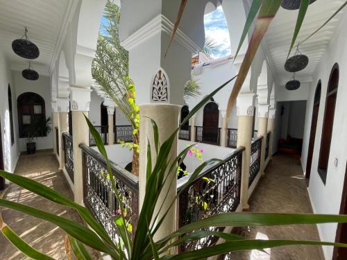 Riad Elias & Spa – Photos 2