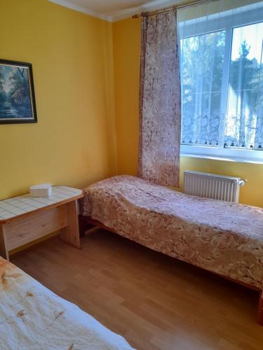 a room with two beds and a window at Penzion Kozabar in Horní Luby
