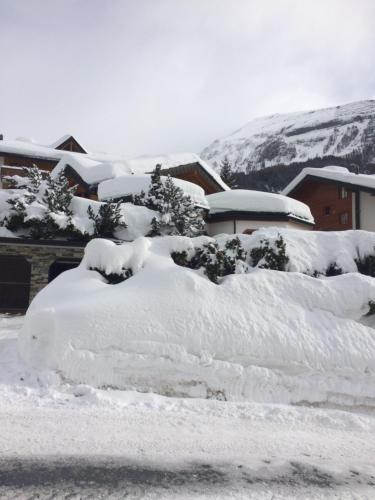 a group of snow covered bushes in a yard at Villa Octogon - Free Parking - Wii - SportArena in Leukerbad