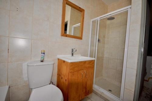 La salle de bains est pourvue de toilettes, d'un lavabo et d'une douche. dans l'établissement The Bridge Apartments Unit 35, à St Lucia