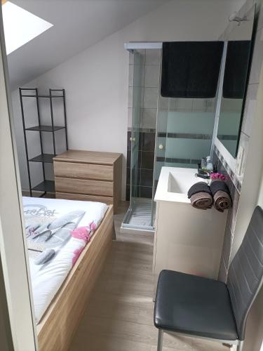 a bathroom with a bed and a sink and a mirror at F1 en duplex coquelicot in Lamalou-les-Bains