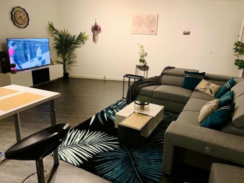 sala de estar con sofá, mesa y TV en Grand appartement 2 chambres 6 pers max, vue panoramique avec parking, en Mulhouse