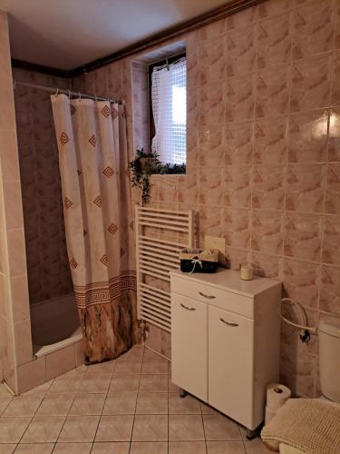a bathroom with a sink and a shower at Privát Majo in Liptovský Mikuláš