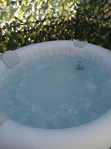 a bath tub filled with water next to a bush at Mary Gery's Rooms in Castellammare del Golfo