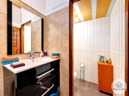 uma casa de banho com um lavatório e um espelho em Kaz'A Olymp - classé 3 étoiles - Maison de vacances à l'Entre-Deux em Entre-Deux