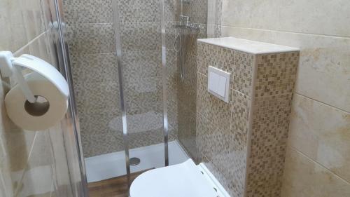 ein Bad mit einer Glasdusche und einem WC in der Unterkunft Apartment Vanja - 200m from centar city in Krapina