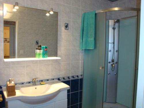 a bathroom with a sink and a shower with a mirror at Fermette Rénovée in Celles