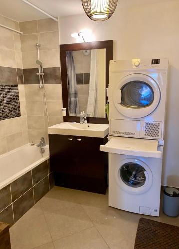ein Badezimmer mit einer Waschmaschine und einer Waschmaschine in der Unterkunft Appart Cosy proche du lac avec terrasse in Annecy