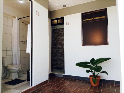 ein Bad mit einem WC, einem Fenster und einer Pflanze in der Unterkunft Hotel CESARE in Uyuni