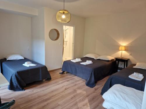 a room with two beds and a mirror at Hôtel Patricia - Strasbourg Hyper Centre in Strasbourg