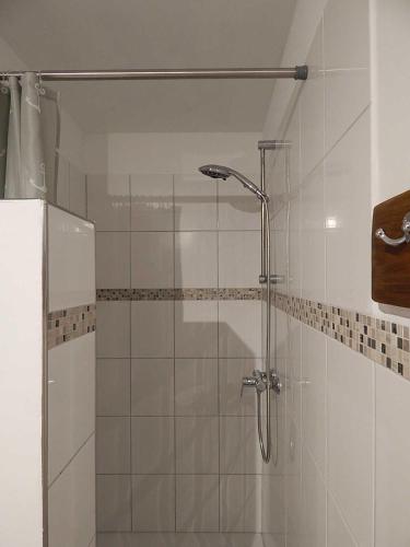 a shower with a glass door in a bathroom at Ferienwohnungen Bekperle in Bekdorf