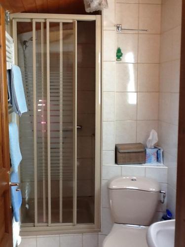 ein Bad mit einer Dusche, einem WC und einem Waschbecken in der Unterkunft La Tourelle in Tartegnin