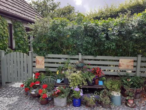 a garden with a bench with flowers and plants at Oakey Orchard - cosy apartment in Tamar Valley, Cornwall in Saint Dominick