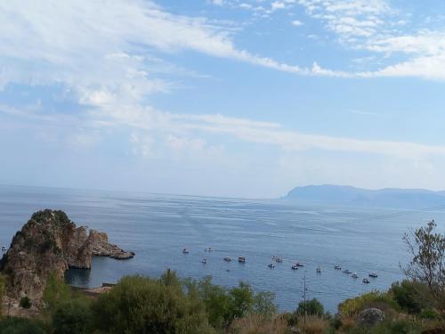 a large body of water with boats in it at Mary Gery's Rooms in Castellammare del Golfo
