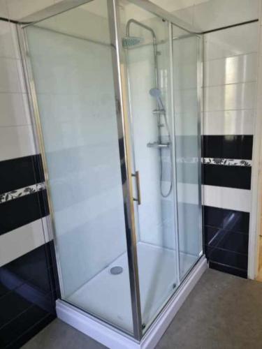 a shower with a glass door in a bathroom at Le parc de Gouts in Aiguillon