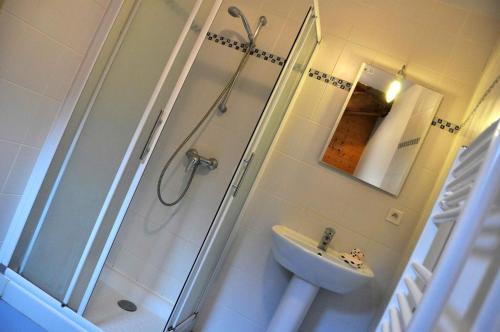 ein Bad mit einer Dusche und einem Waschbecken in der Unterkunft Le poulailler in La Terrasse-sur-Dorlay