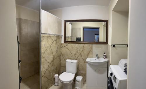 uma casa de banho com um WC, um lavatório e um espelho. em ARB Kaunas em Kaunas