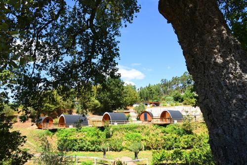 a group of camels in a field with trees at As casinhas do Moinho in Valença