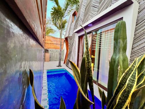 a swimming pool next to a house with a plant at A&V Hotel Boutique in Acapulco