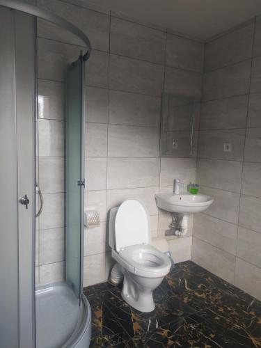 a bathroom with a toilet and a sink at Сучасні квартири електроенергія, тепло і гаряча вода є ЗАВЖДИ in Poltava