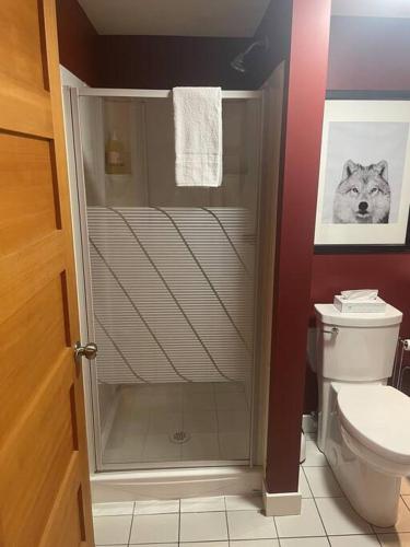 a bathroom with a shower and a toilet at Two Bedroom House by Snow Valley Lodging in Fernie