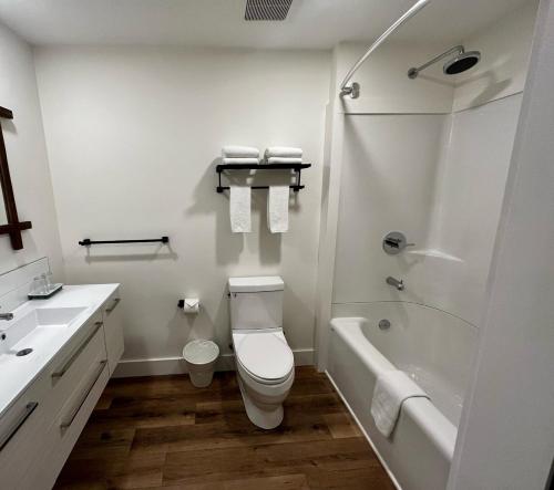a white bathroom with a toilet and a shower at Two Bedroom House by Snow Valley Lodging in Fernie