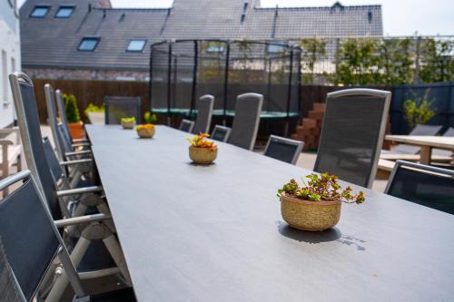 uma mesa longa com vasos de plantas num telhado em Villa Reunion em Wenduine