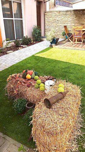 Taman di luar Erkel 19 Apartmanház