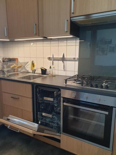 a kitchen with a stove and a sink at Audun-Le-Tiche - Appartements 3 chambres in Audun-le-Tiche