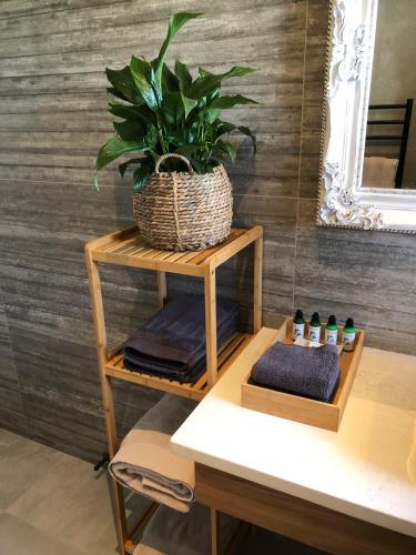 a potted plant sitting on a shelf next to a table at River View Cottage in Kahuranaki