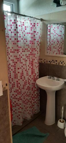 baño con lavabo y cortina de ducha con corazones en Complejo Los Manantiales, en Alta Gracia