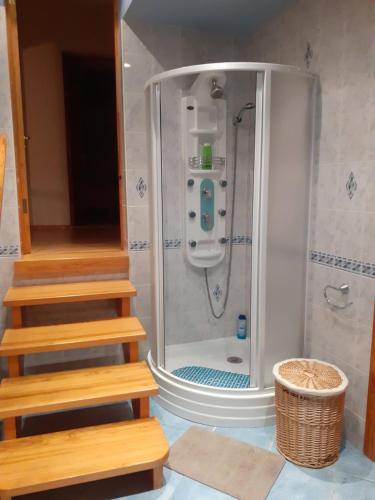 a bathroom with a shower and stairs in a room at Forest Edge House in Riga