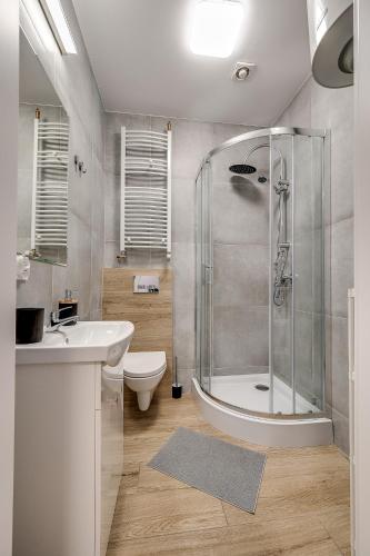 a bathroom with a shower and a sink and a toilet at Central Platinum Apartments 18 Studio z aneksem kuchennym i tarasem - 3 łóżka in Rybnik