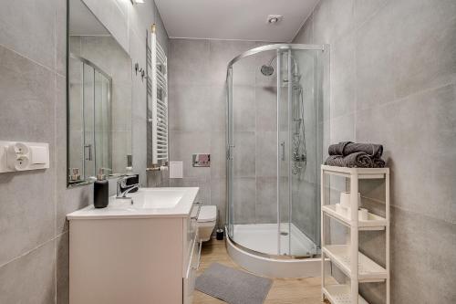 łazienka z prysznicem, umywalką i toaletą w obiekcie Central Platinum Apartments 21 w Rybniku