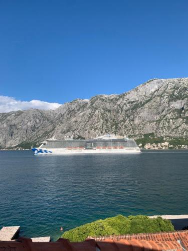 a cruise ship on a large body of water at zolina in Tivat