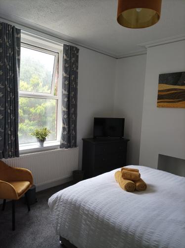 Victorian Renovation Room 1 photo 3