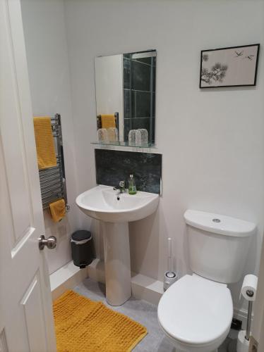 Victorian Renovation Room 1 photo 9