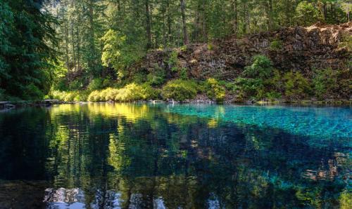 a large body of water with trees in the background at Holiday Inn Portland West - Hillsboro by IHG in Hillsboro