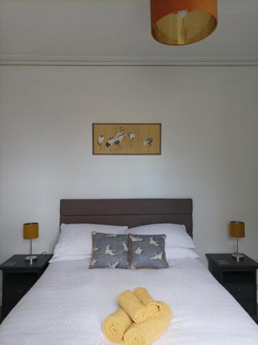 Victorian Renovation Room 1 photo 17