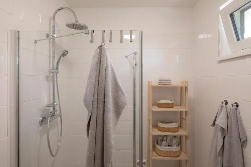 La salle de bains est pourvue d'une douche avec une porte en verre. dans l'établissement Ubytování na Lontu, à Němčičky