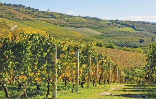 a row of trees in a vineyard on a hill at Castello Dei Diamanti in Belvedere Langhe