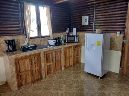 Palmares的住宿－Cabañas San Rafael，厨房配有冰箱和水槽