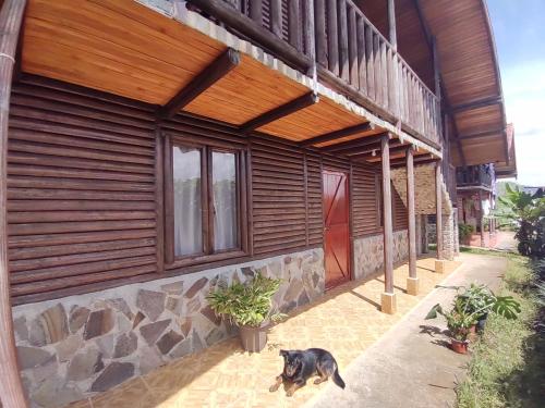 a dog standing in front of a building at Cabañas San Rafael in Palmares
