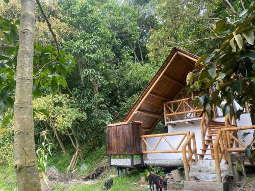 a house in the woods with a group of animals around it at El Refugio del Oso de Anteojos in Fómeque
