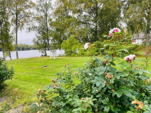 a bush with flowers in a yard next to a lake at 4 person holiday home in BENGTSFORS-By Traum in Bengtsfors